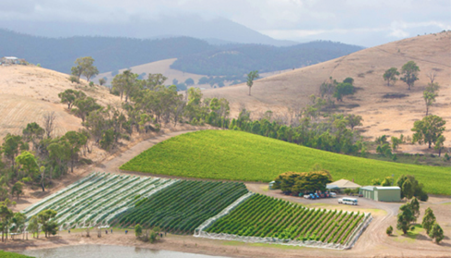 Barossa Valley, South Australia, Australia